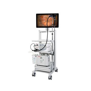 Endomed Video Gastrointestinal Endoscopy Stack - Medical Grade Professional (Healthcare)