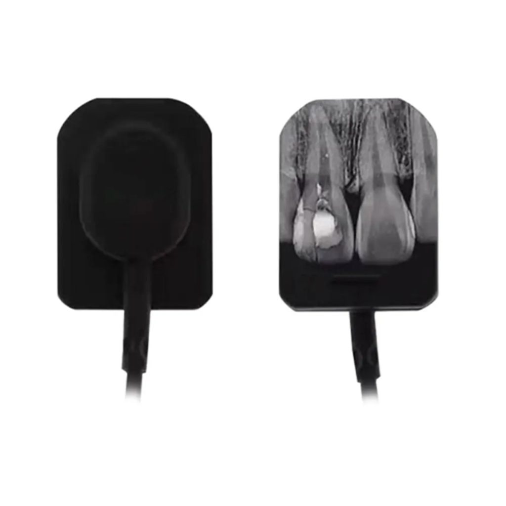 Dental X-Ray Sensor - Medical Grade Professional (Healthcare)