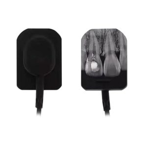 Dental X-Ray Sensor - Medical Grade Professional (Healthcare)