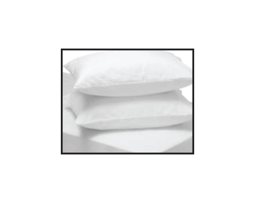 Pillow & Case - Medical Grade Professional (Healthcare)
