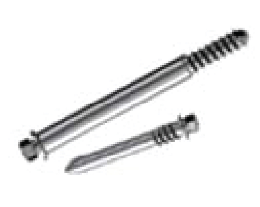 Trauma_Interlocking Nail Systems Matching Lag Screw - Medical Grade Professional (Healthcare)