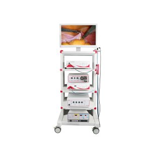 Complete Endoscopy Stack - Medical Grade Professional (Healthcare)