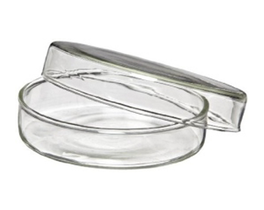 Petri Dish (CATRON) - Medical Grade Professional (Healthcare)