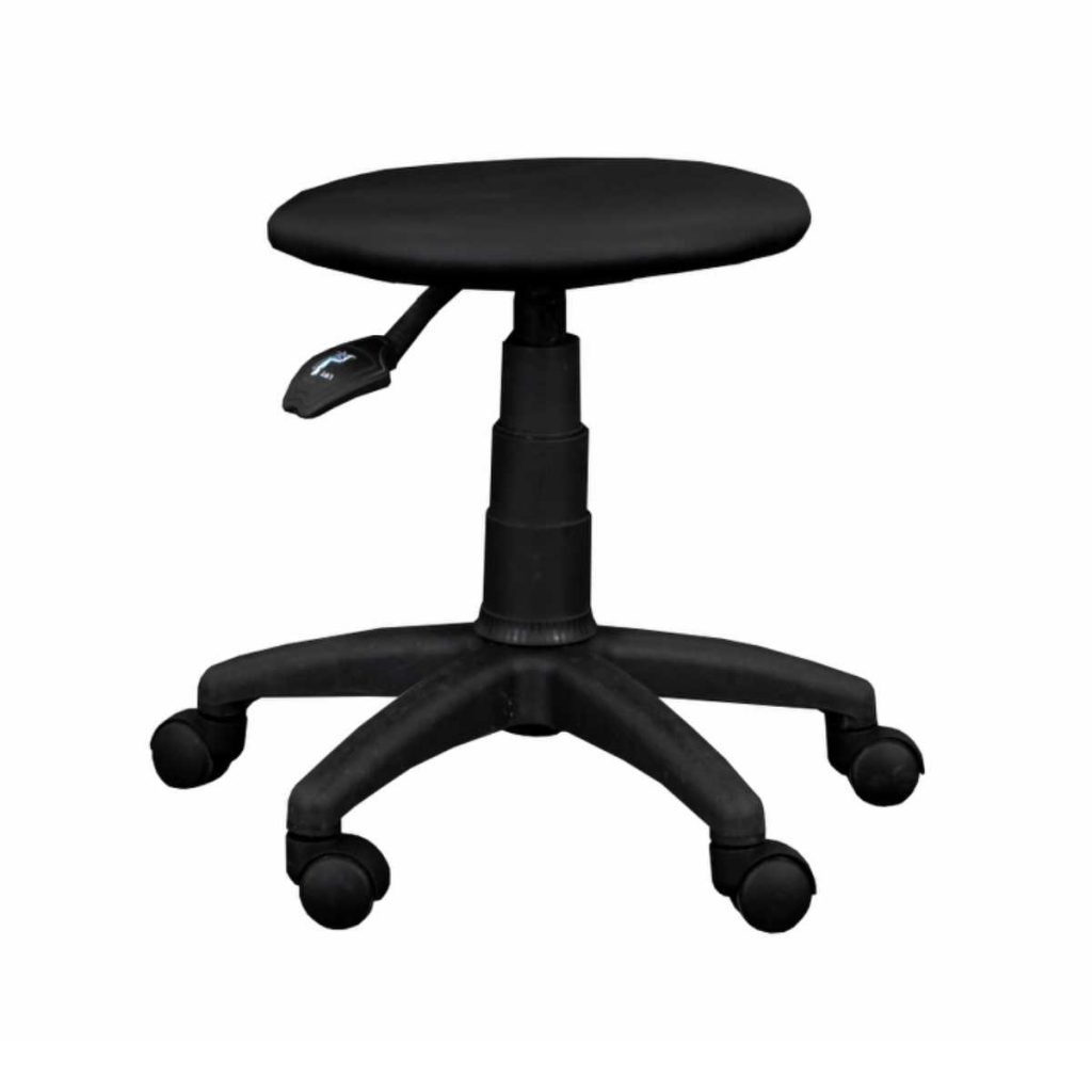 Linealife Tbr-10 Surgeon Stool - Medical Grade Professional (Healthcare)