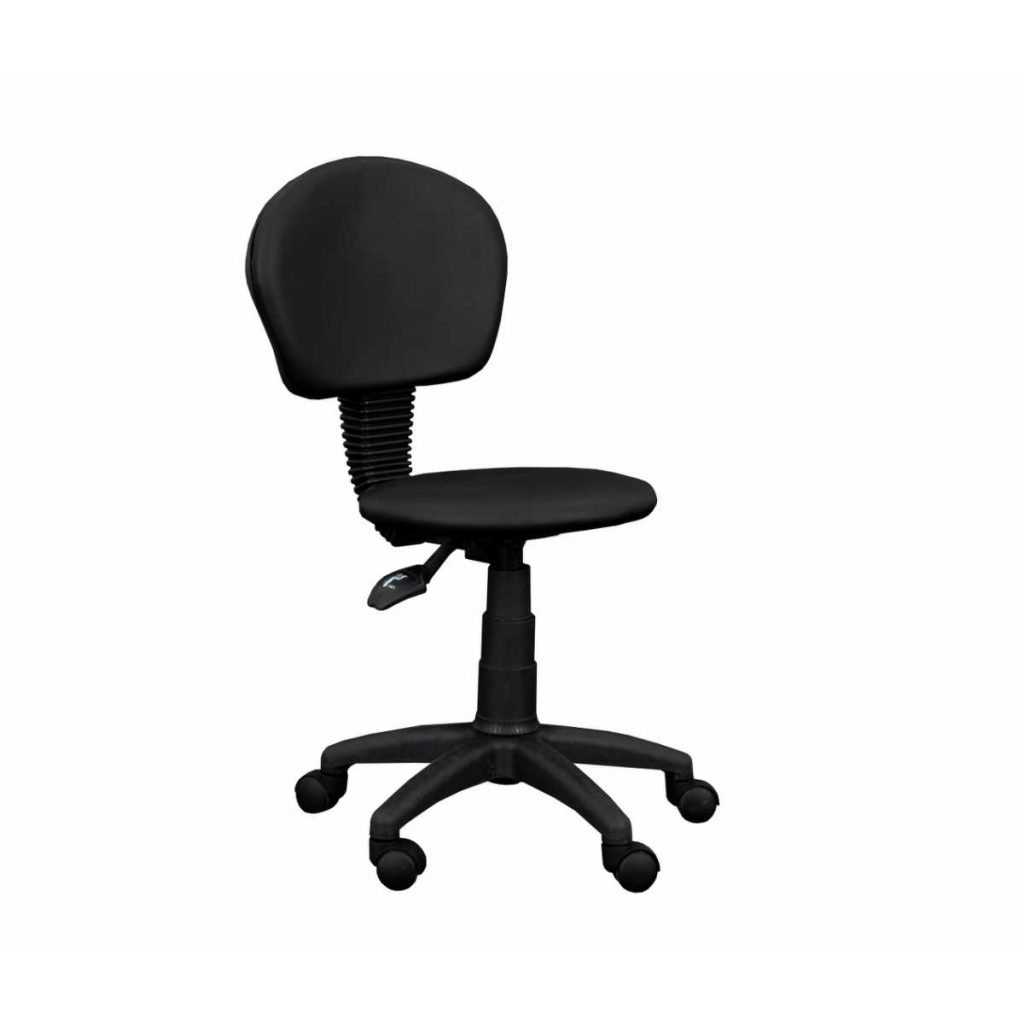 Linealife Tbr-20 Stool with Backrest - Medical Grade Professional (Healthcare)