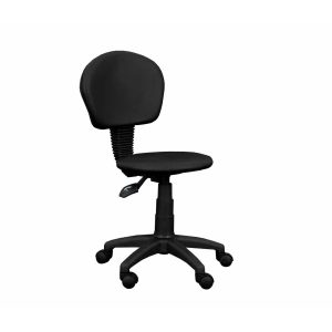 Linealife Tbr-20 Stool with Backrest - Medical Grade Professional (Healthcare)