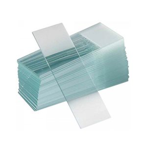 Microscope Glass Slide Per Pack - Medical Grade Professional (Healthcare)