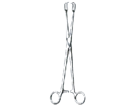 Durable INS61-540 SCHROEDER - Medical Grade Professional (Healthcare)