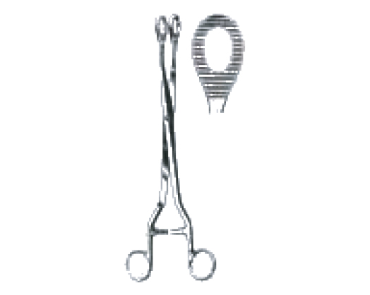 Durable INS61-690 NOTO - Medical Grade Professional (Healthcare)