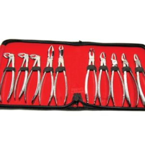 Dental Set of Tooth Extracting Forceps - Medical Grade Professional (Healthcare)