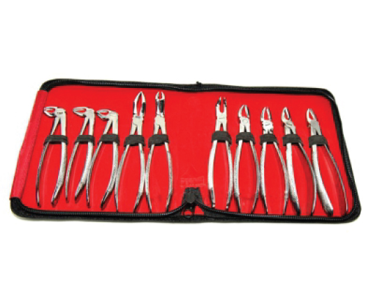 Dental Set of Tooth Extracting Forceps - Medical Grade Professional (Healthcare)