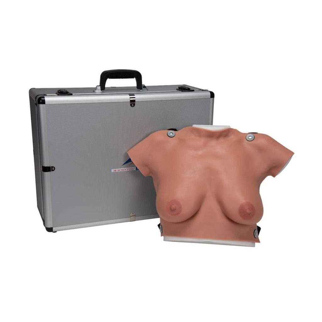 3B Scientific Wearable Breast Self Examination Model – 3B Smart Anatomy - Medical Grade Professional (Healthcare)