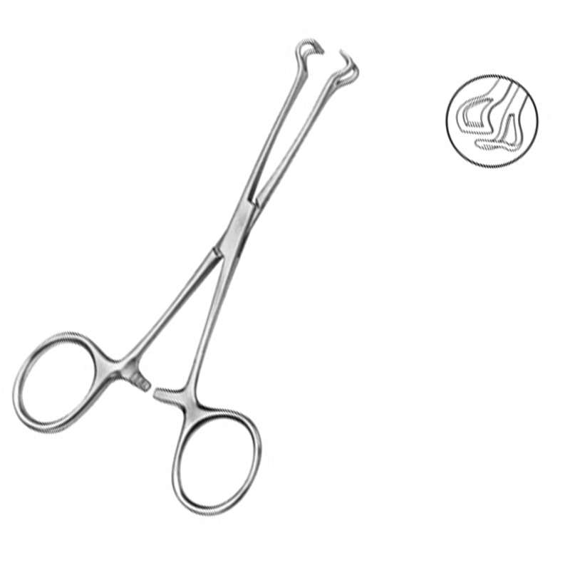 Babcock Tissue Forceps - Medical Grade Professional (Healthcare)