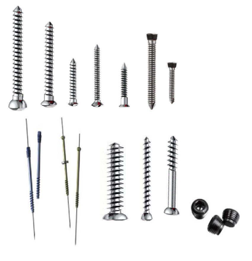 Bone Screws - Medical Grade Professional (Healthcare)