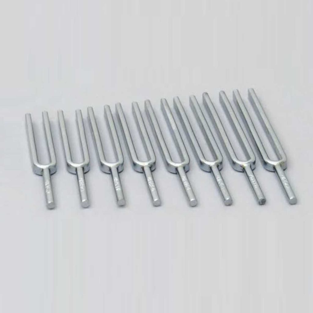 Turning Fork - Medical Grade Professional (Healthcare)