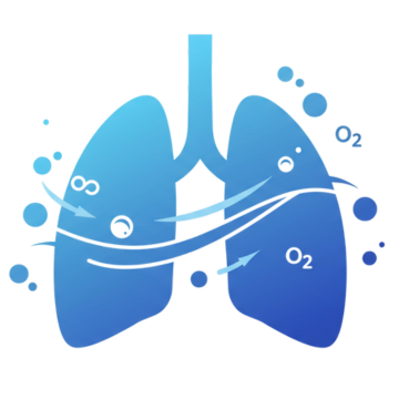 Respiratory Equipment